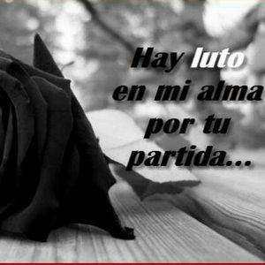 Meet your Posher, Ivan